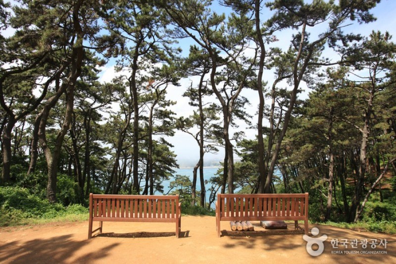 Daewangam Park  (39/58)