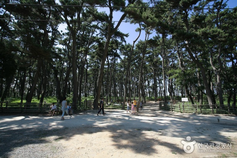 Daewangam Park  (48/58)