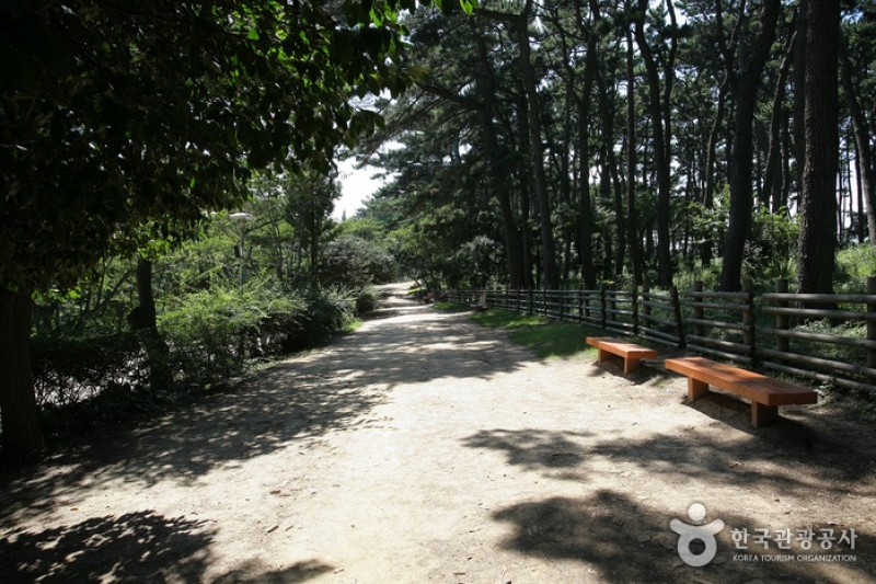 Daewangam Park  (49/58)
