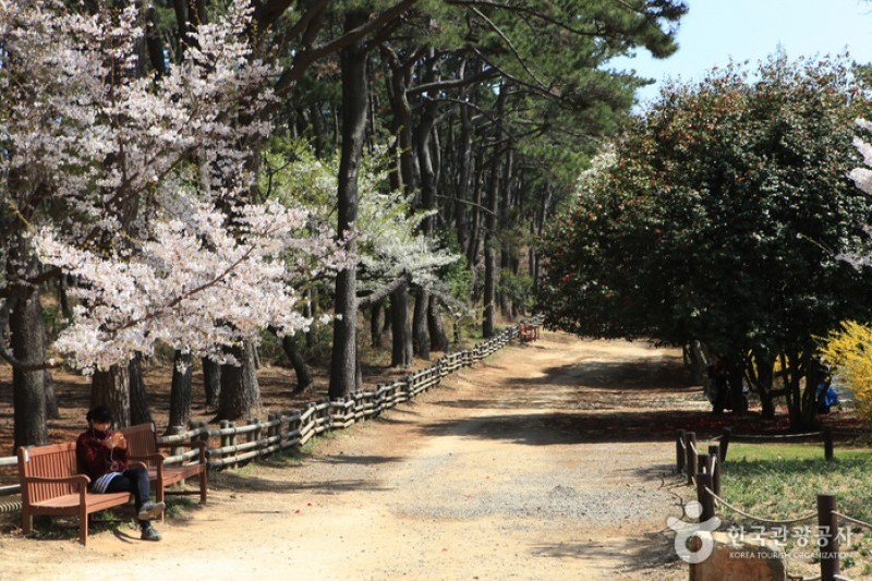Daewangam Park  (51/58)