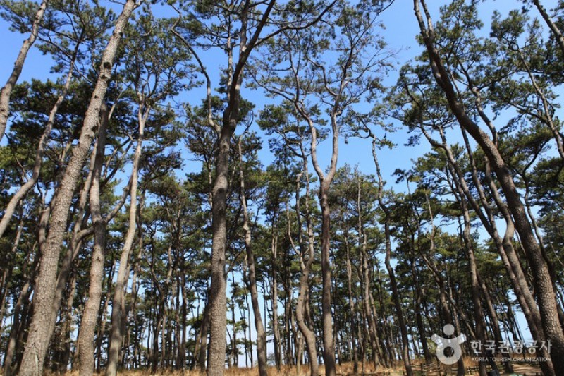 Daewangam Park  (52/58)