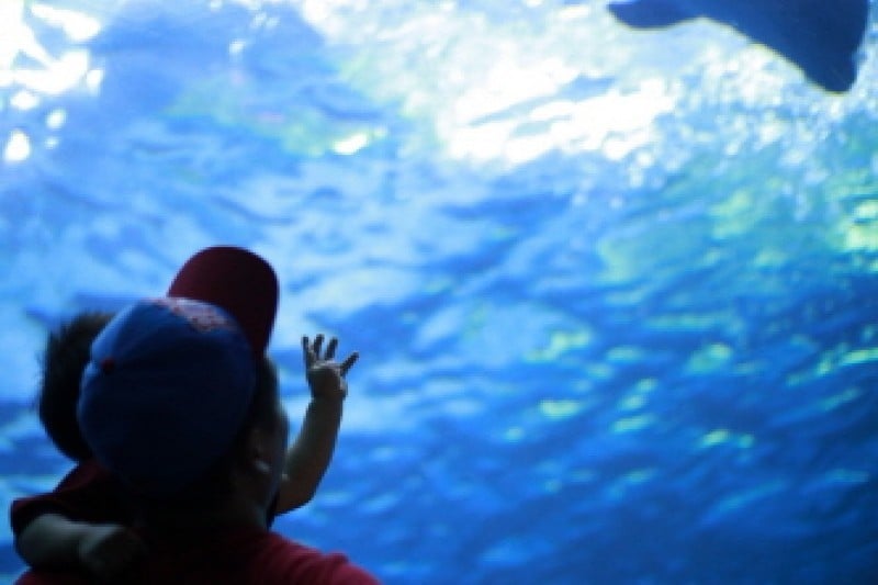Ulsan Whale Festival  (6/6)