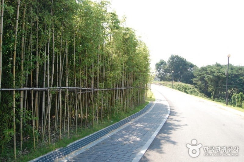 Oegosan Onggi Village  (17/33)