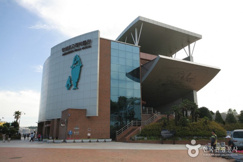 Jangsaengpo Whale Museum  (1/8)