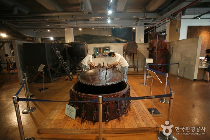 Jangsaengpo Whale Museum  (3/8)