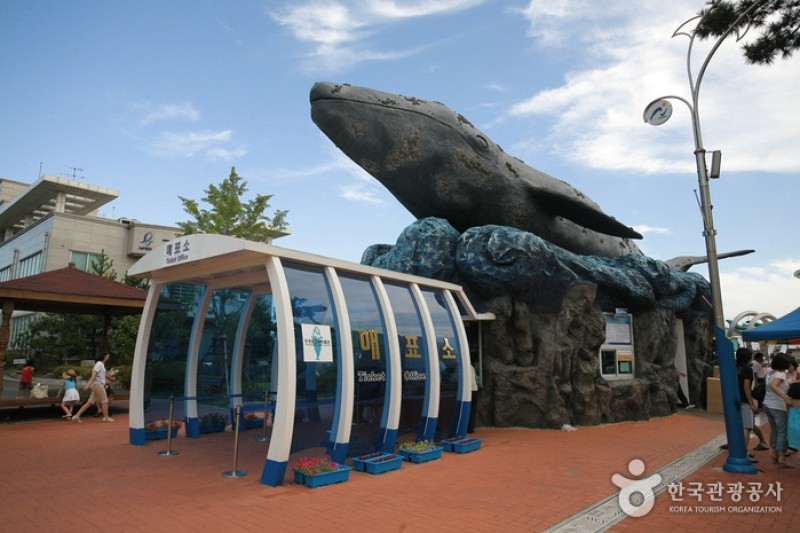 Jangsaengpo Whale Museum  (5/8)