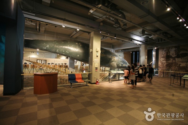 Jangsaengpo Whale Museum  (6/8)
