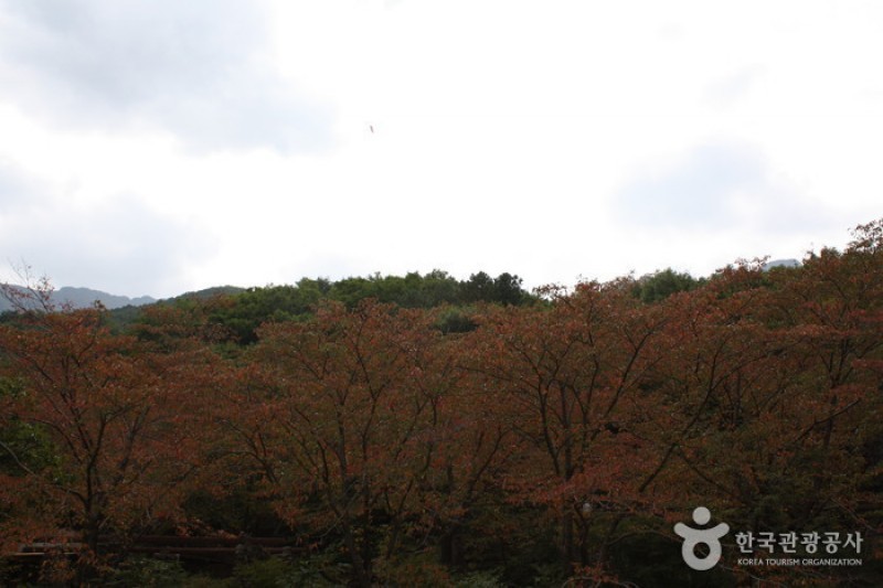 Sinbulsan County Park  (1/6)