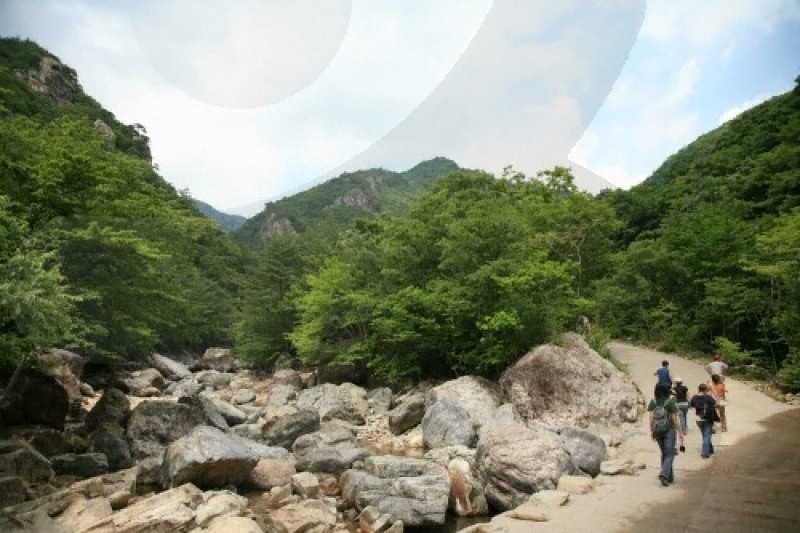 Sinbulsan County Park  (4/6)