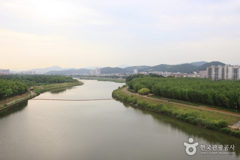 Taehwagang River  (3/21)