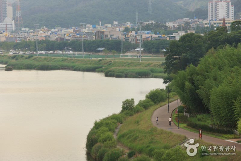 Taehwagang River  (5/21)