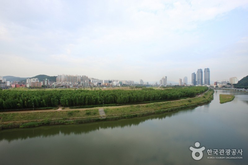 Taehwagang River  (6/21)