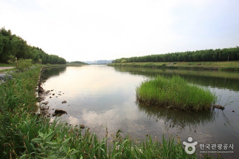 Taehwagang River  (7/21)