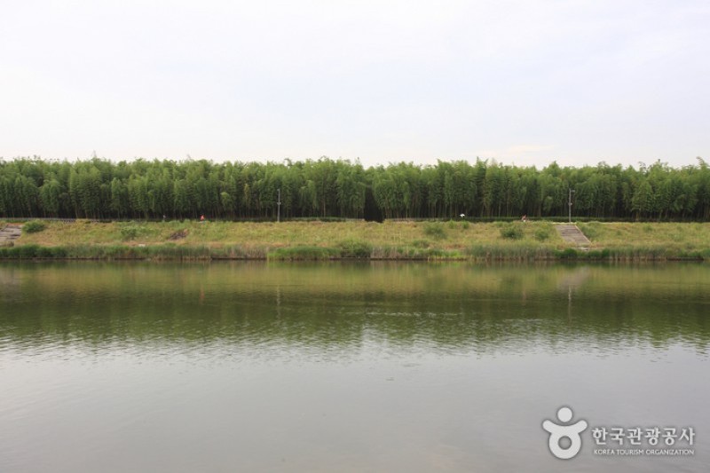 Taehwagang River  (8/21)