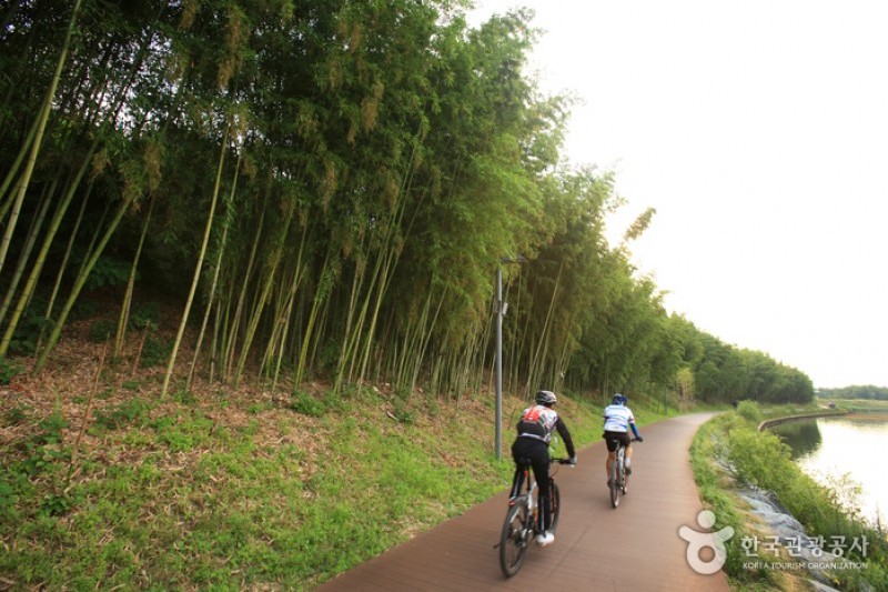 Taehwagang River  (10/21)