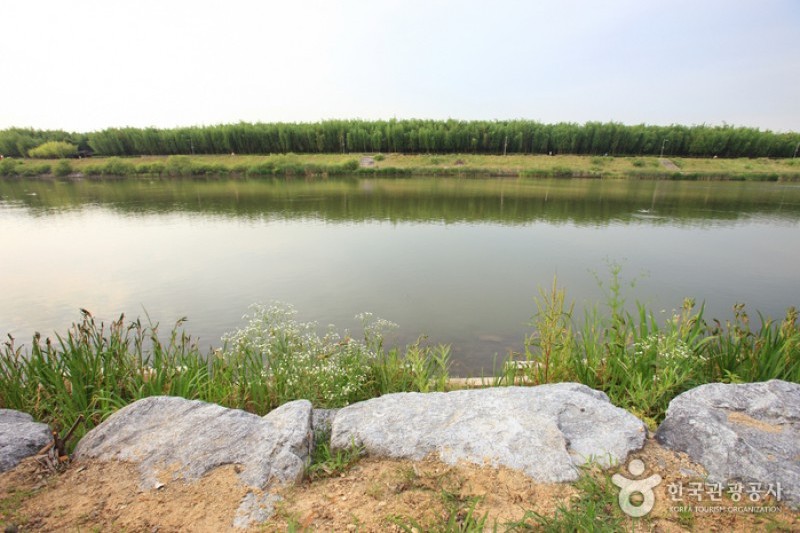 Taehwagang River  (11/21)