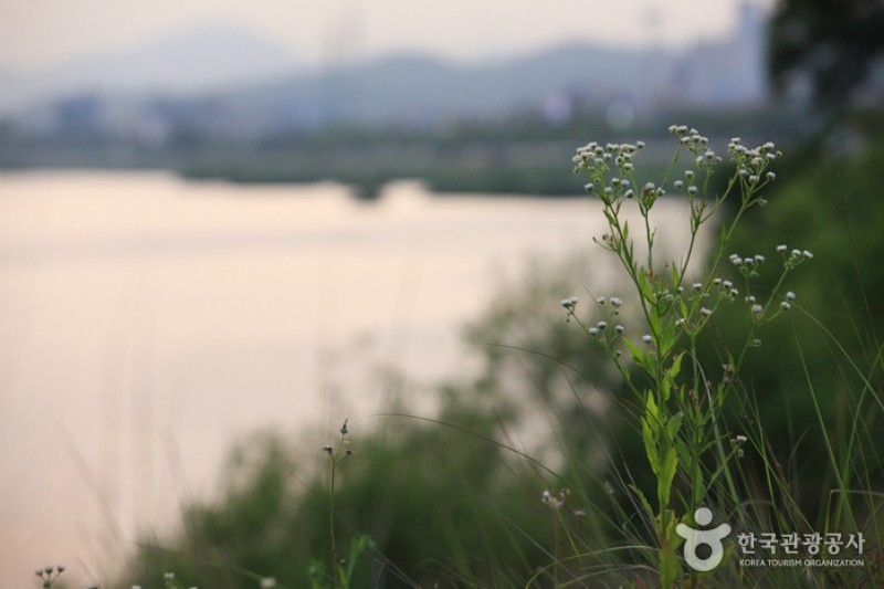 Taehwagang River  (13/21)
