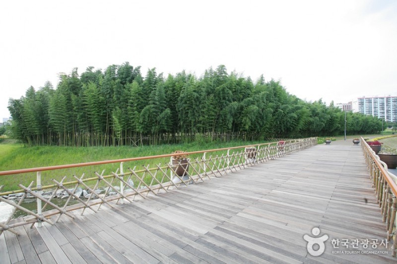 Taehwagang River  (16/21)