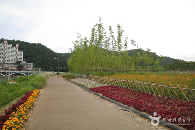 Taehwagang River  (17/21)