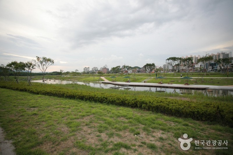 Taehwagang River  (18/21)