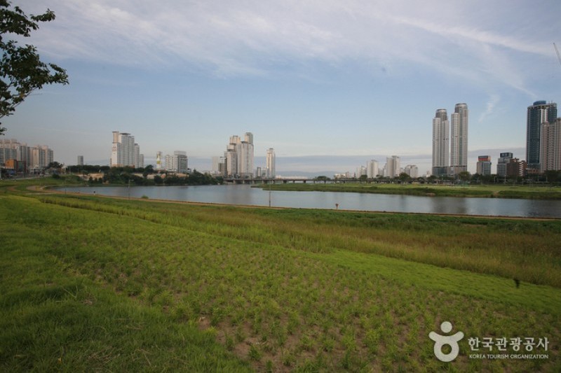 Taehwagang River  (19/21)