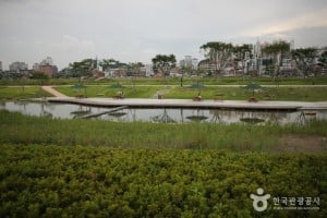 Taehwagang River 