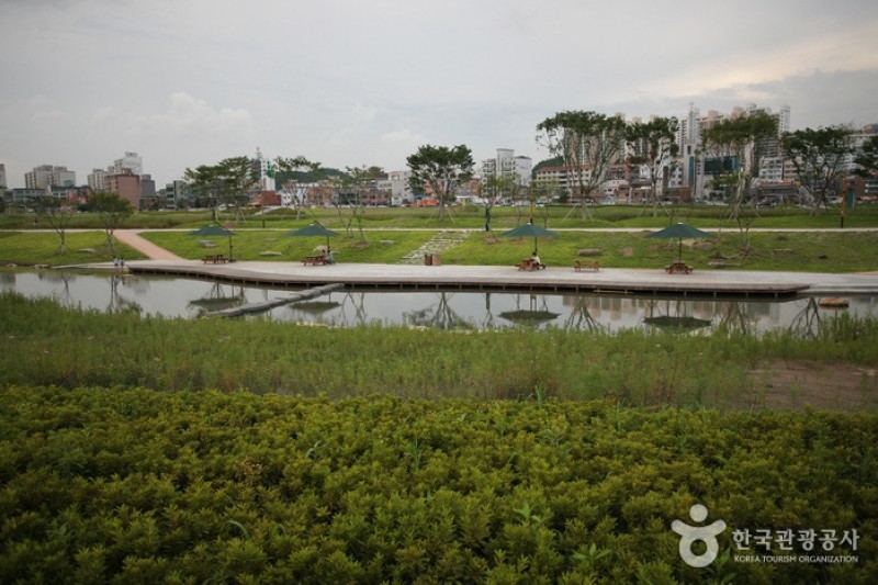 Taehwagang River  (21/21)