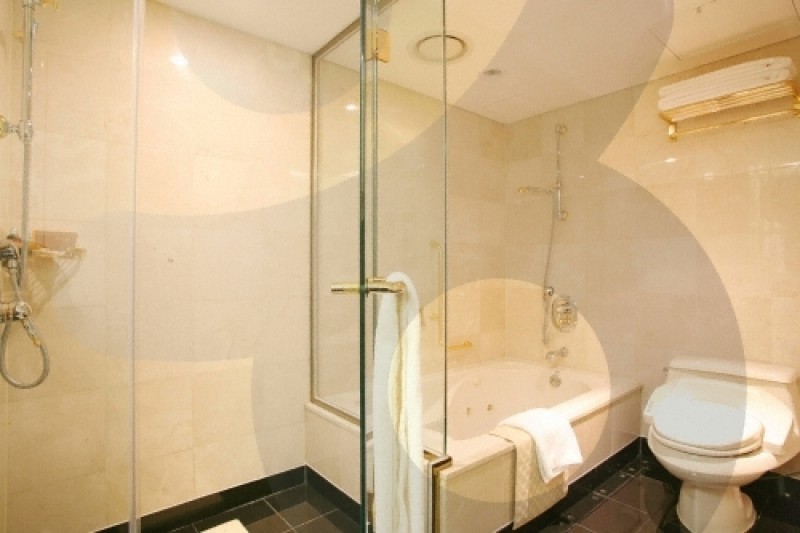 Lotte Hotel Ulsan  (38/39)
