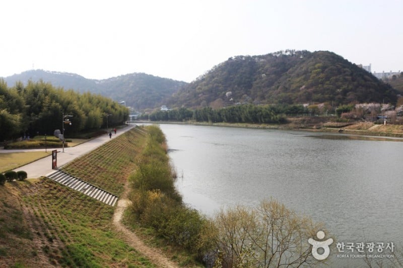 Taehwagang Grand Park  (1/32)