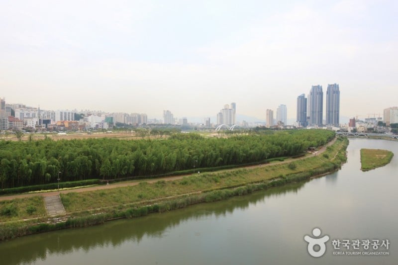 Taehwagang Grand Park  (2/32)