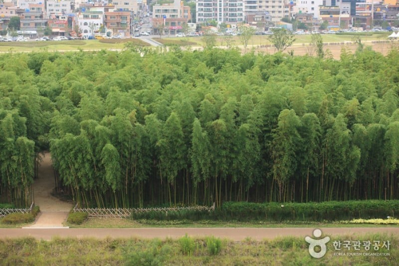 Taehwagang Grand Park  (3/32)
