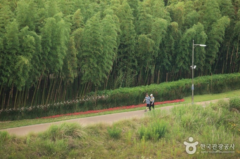 Taehwagang Grand Park  (4/32)