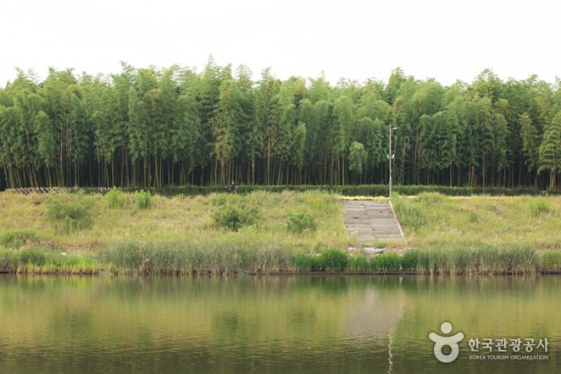 Taehwagang Grand Park  (5/32)