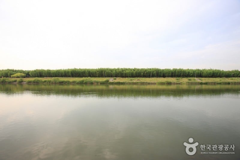 Taehwagang Grand Park  (6/32)