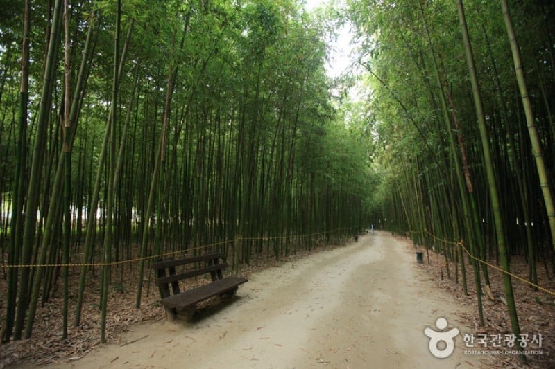 Taehwagang Grand Park  (7/32)