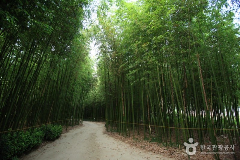 Taehwagang Grand Park  (9/32)