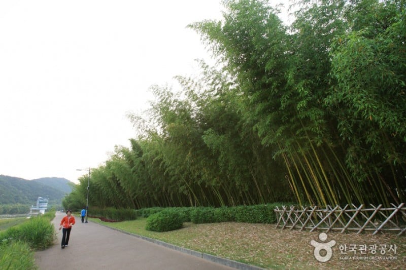 Taehwagang Grand Park  (10/32)