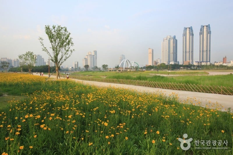 Taehwagang Grand Park  (12/32)