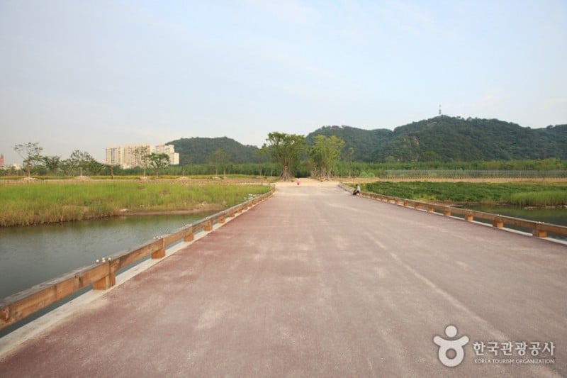 Taehwagang Grand Park  (13/32)