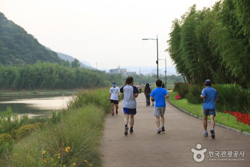 Taehwagang Grand Park  (15/32)