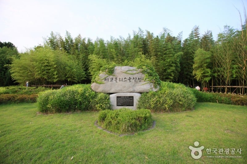 Taehwagang Grand Park  (16/32)