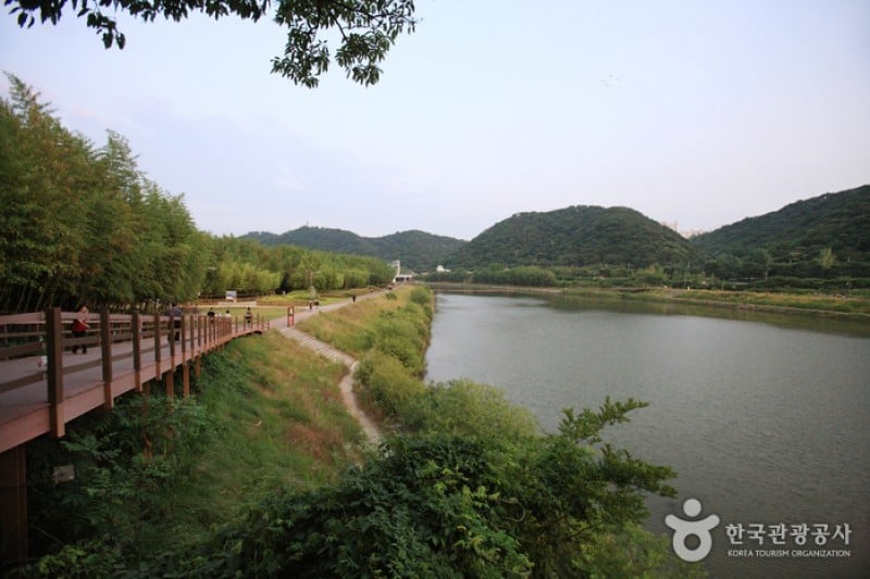 Taehwagang Grand Park  (18/32)