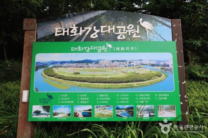 Taehwagang Grand Park  (19/32)