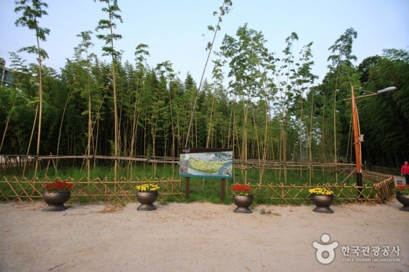 Taehwagang Grand Park  (20/32)