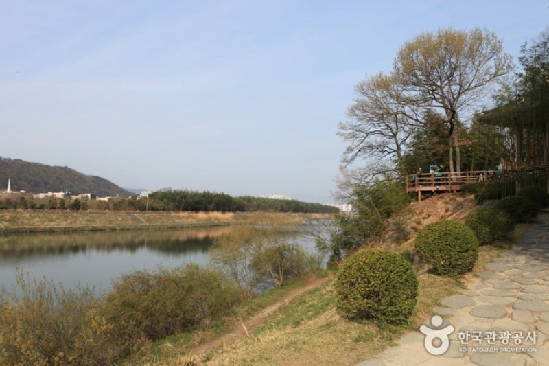 Taehwagang Grand Park  (23/32)