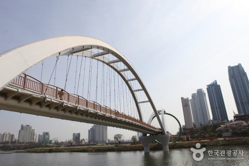Taehwagang Grand Park  (25/32)