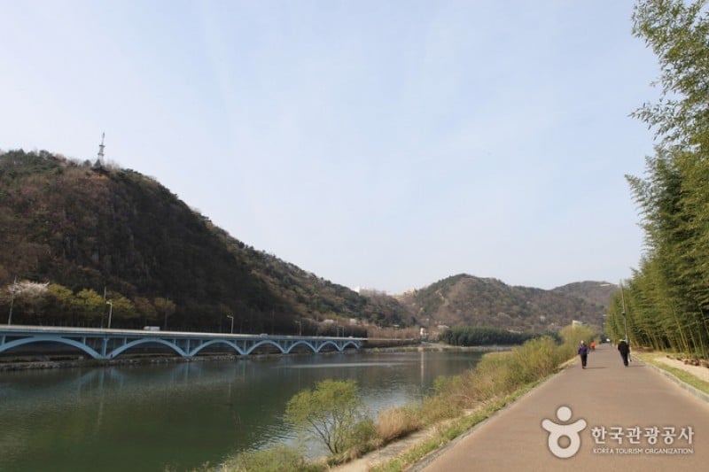 Taehwagang Grand Park  (26/32)