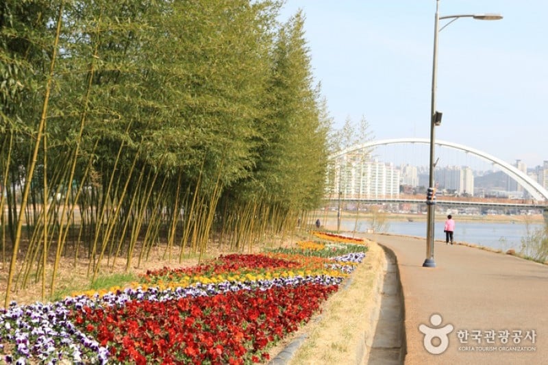 Taehwagang Grand Park  (27/32)