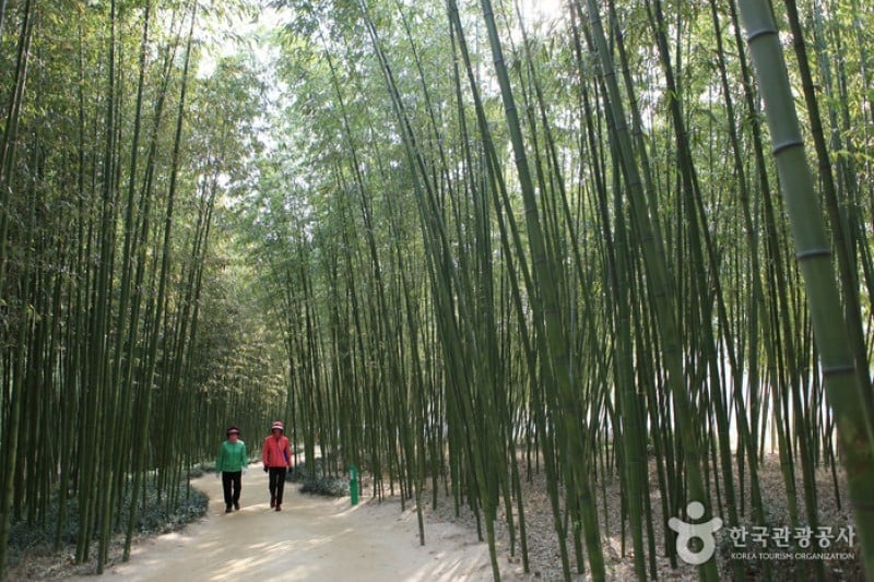 Taehwagang Grand Park  (30/32)