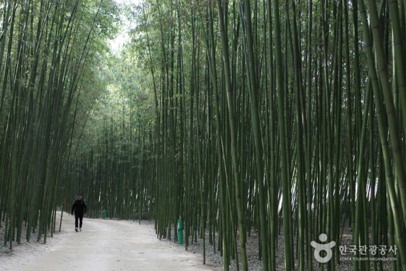 Taehwagang Grand Park  (31/32)